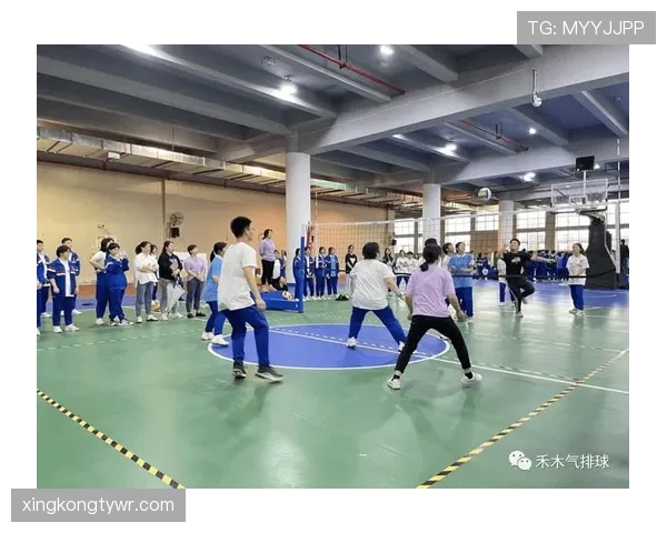 战术犯规的判罚标准与裁判介入时机详解