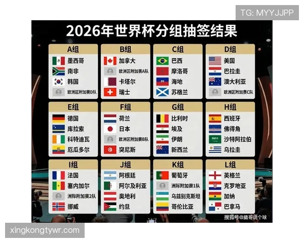 世界杯美国队D组最大竞争对手是谁